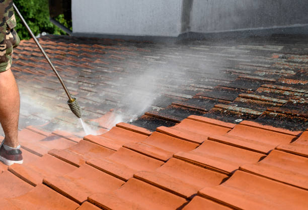 Best Affordable Pressure Washing  in Edgewater, FL